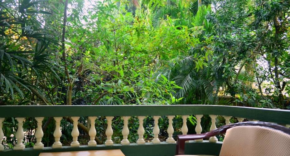 Palm Grove Cottages, Goa 3